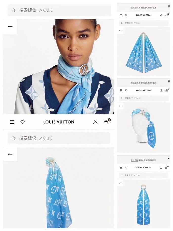 Louis Vuitton Scarf LVS00019